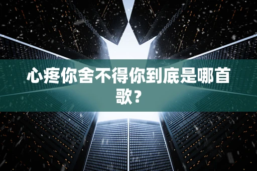 心疼你舍不得你到底是哪首歌？