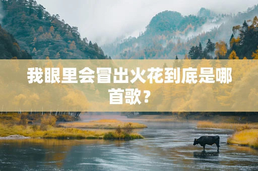 我眼里会冒出火花到底是哪首歌？
