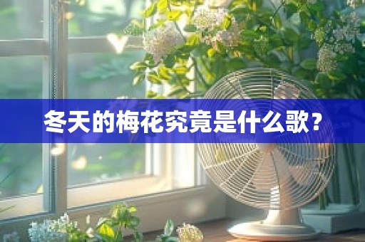 冬天的梅花究竟是什么歌？