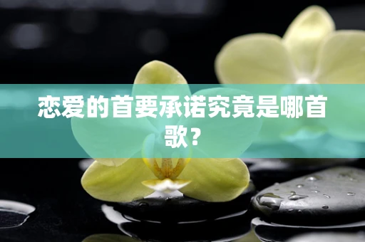 恋爱的首要承诺究竟是哪首歌？