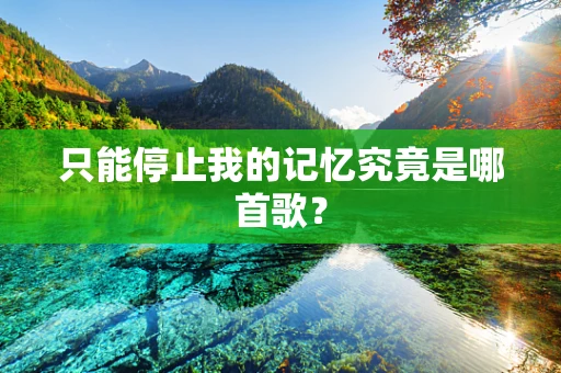 只能停止我的记忆究竟是哪首歌？