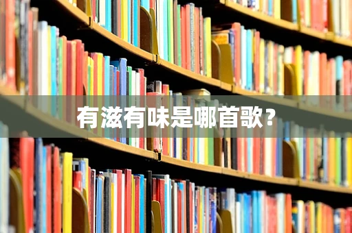 有滋有味是哪首歌？