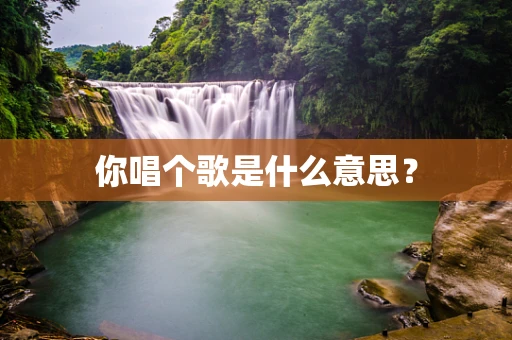 你唱个歌是什么意思？