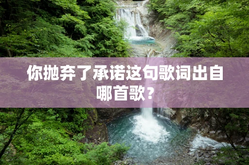 你抛弃了承诺这句歌词出自哪首歌？