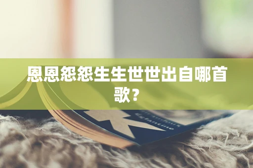 恩恩怨怨生生世世出自哪首歌？