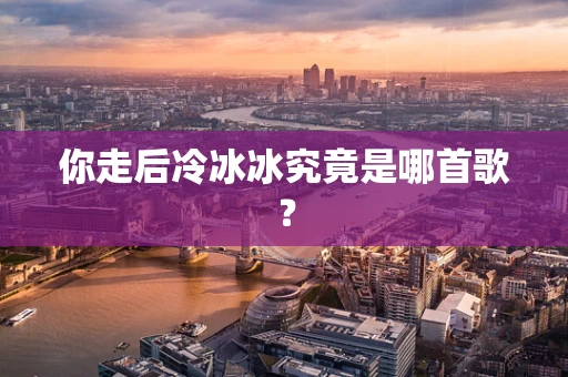 你走后冷冰冰究竟是哪首歌？