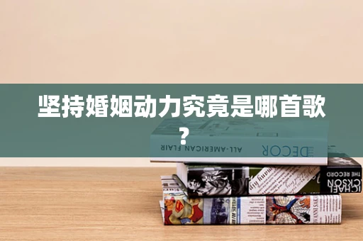 坚持婚姻动力究竟是哪首歌？