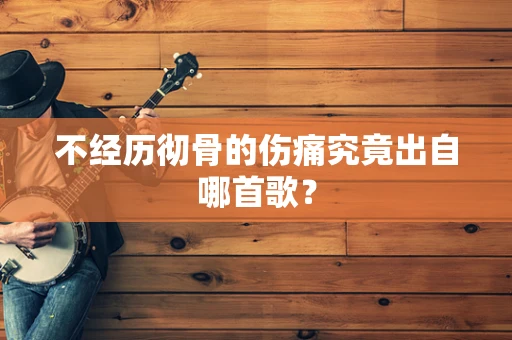 不经历彻骨的伤痛究竟出自哪首歌？