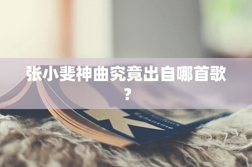 张小斐神曲究竟出自哪首歌？