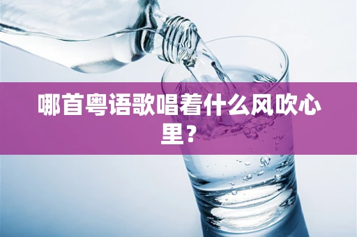 哪首粤语歌唱着什么风吹心里？
