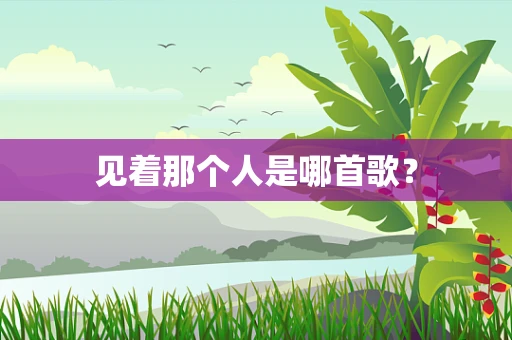 见着那个人是哪首歌？