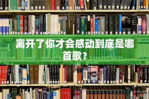 离开了你才会感动到底是哪首歌？