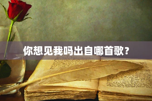 你想见我吗出自哪首歌？