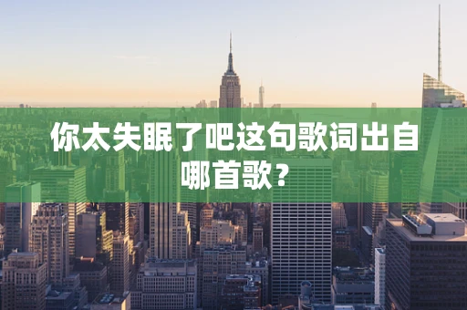 你太失眠了吧这句歌词出自哪首歌？