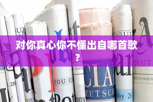 对你真心你不懂出自哪首歌？