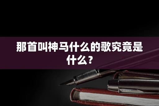 那首叫神马什么的歌究竟是什么？