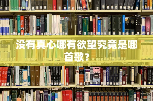 没有真心哪有欲望究竟是哪首歌？