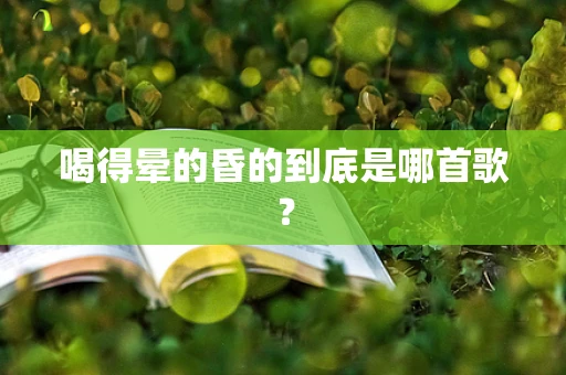 喝得晕的昏的到底是哪首歌？