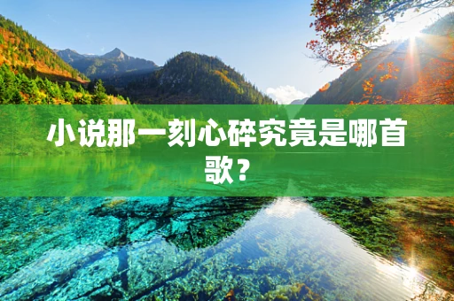 小说那一刻心碎究竟是哪首歌？