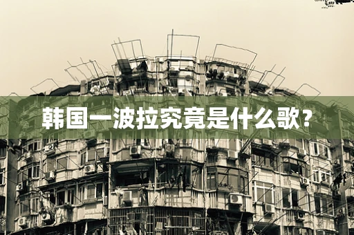 韩国一波拉究竟是什么歌？