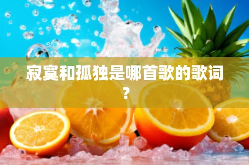 寂寞和孤独是哪首歌的歌词？