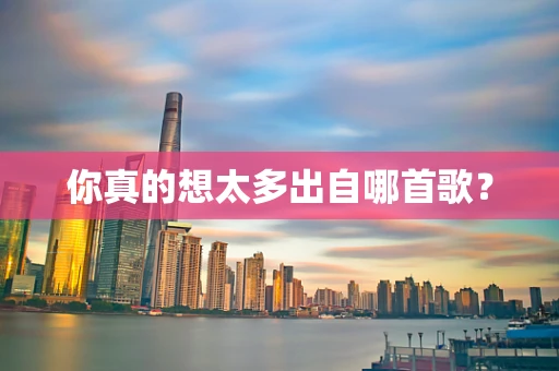 你真的想太多出自哪首歌？