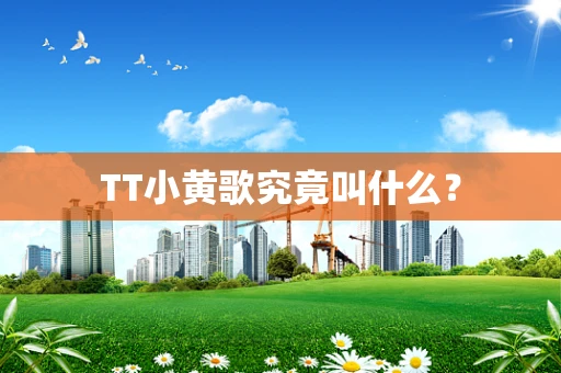 TT小黄歌究竟叫什么？