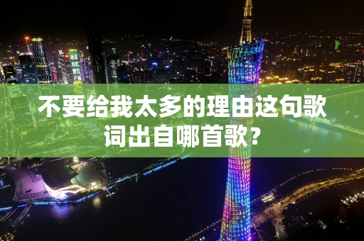不要给我太多的理由这句歌词出自哪首歌？