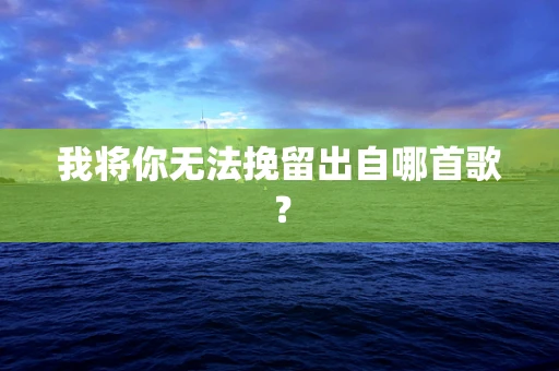 我将你无法挽留出自哪首歌？