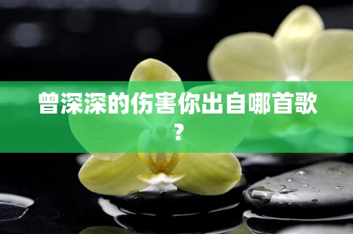 曾深深的伤害你出自哪首歌？