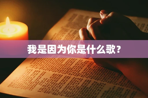 我是因为你是什么歌？
