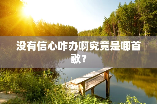 没有信心咋办啊究竟是哪首歌？