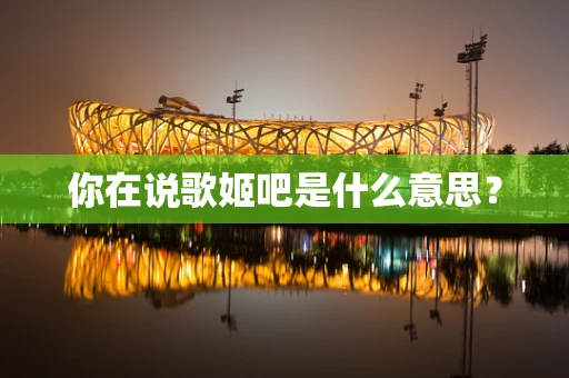 你在说歌姬吧是什么意思？