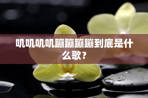 叽叽叽叽蹦蹦蹦蹦到底是什么歌？