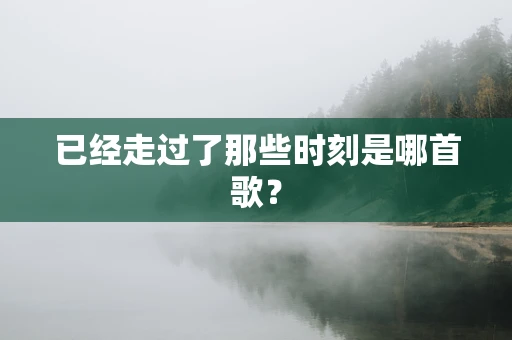 已经走过了那些时刻是哪首歌？