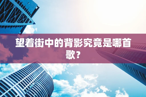 望着街中的背影究竟是哪首歌？