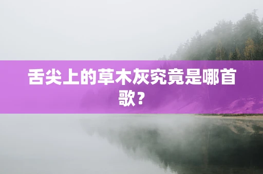 舌尖上的草木灰究竟是哪首歌？