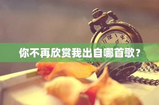 你不再欣赏我出自哪首歌？