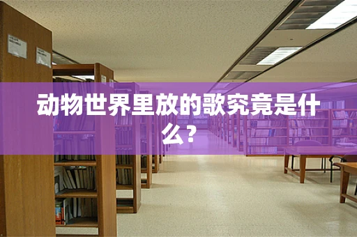 动物世界里放的歌究竟是什么？