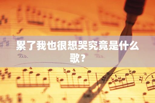 累了我也很想哭究竟是什么歌？