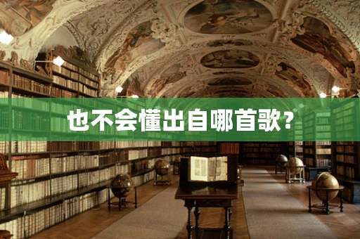 也不会懂出自哪首歌？
