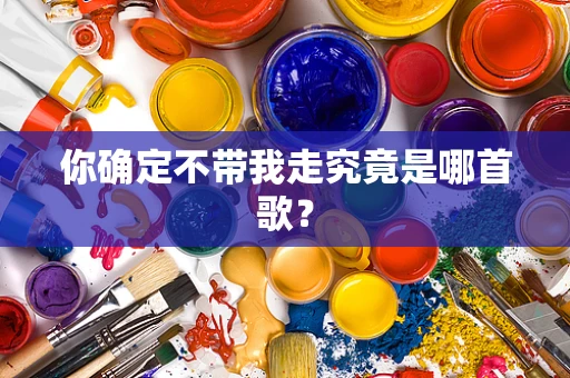 你确定不带我走究竟是哪首歌？
