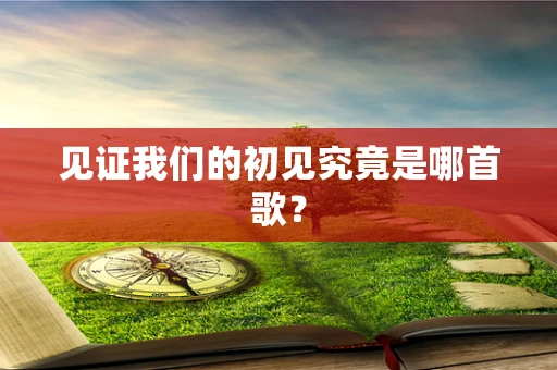 见证我们的初见究竟是哪首歌？