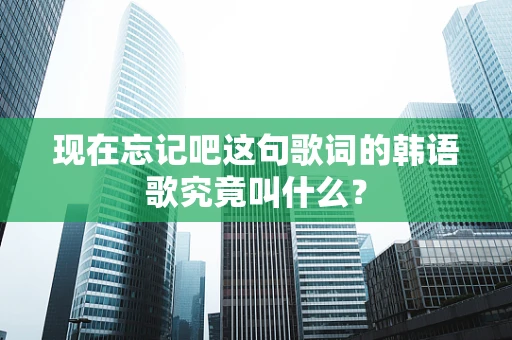 现在忘记吧这句歌词的韩语歌究竟叫什么？
