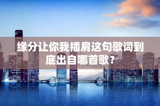 缘分让你我插肩这句歌词到底出自哪首歌？