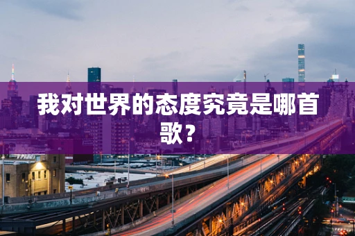 我对世界的态度究竟是哪首歌？