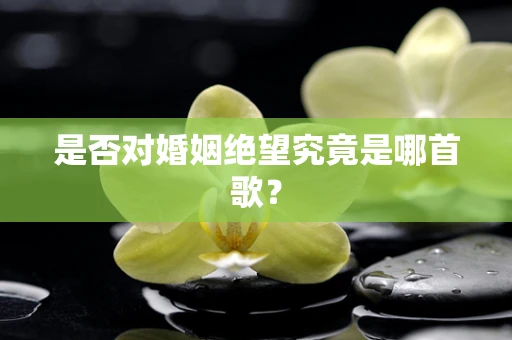 是否对婚姻绝望究竟是哪首歌？