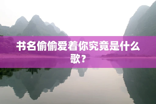 书名偷偷爱着你究竟是什么歌？