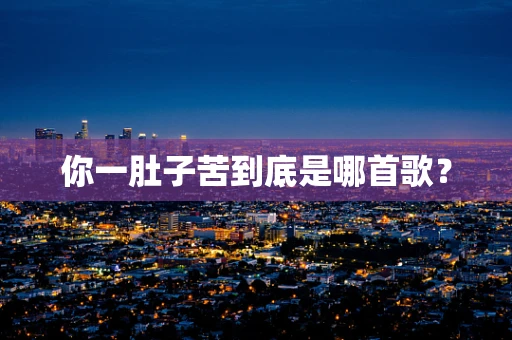 你一肚子苦到底是哪首歌？