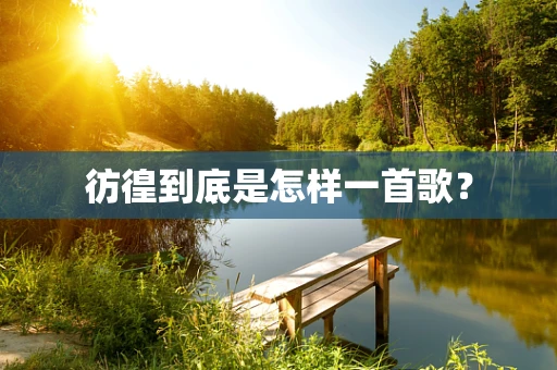 彷徨到底是怎样一首歌？